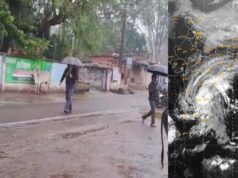 इंदिरा गांधी कृषि विश्वविद्यालय ने जारी की मौसम आधारित कृषि सलाह
