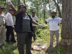 उदंती में 3500 पेड़ों पर संकट, उन्हें बचाने बेंगलुरु से आए ट्री डॉक्टर ने लगाया मरहम