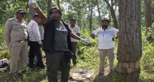 उदंती में 3500 पेड़ों पर संकट, उन्हें बचाने बेंगलुरु से आए ट्री डॉक्टर ने लगाया मरहम