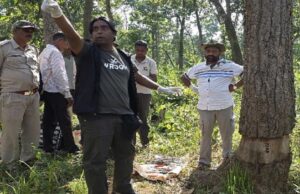 उदंती में 3500 पेड़ों पर संकट, उन्हें बचाने बेंगलुरु से आए ट्री डॉक्टर ने लगाया मरहम